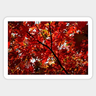 Shades Of Autumn Sticker